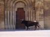 DSC04296.JPG