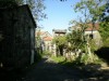 el camino a la iglesia de Astureses_756x567.jpg