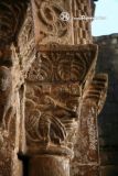 Agero.San Salvador.Hombre y aves