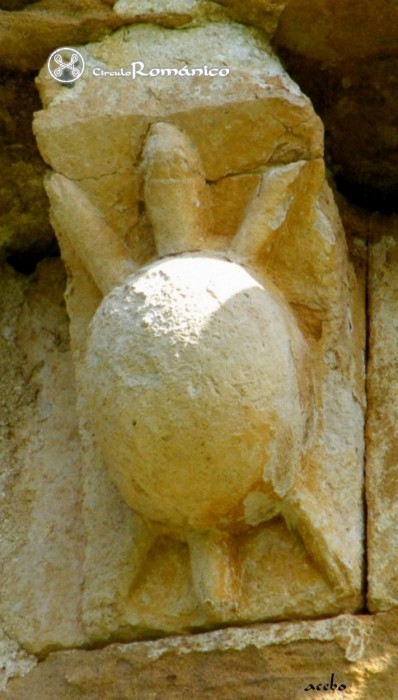 Barcena de Pienza. Nuestra Sra de la Asuncion.Canecillo con tortuga