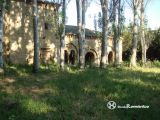 Ribas de Campos. Santa Cruz. Exterior de la sala capitular