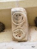 Olmo, El. Virgen del Olmo. Canecillo vegetal