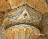 Wamba. Santa Maria (Va) Detalle de capitel con salamandras