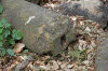 MV-fust.gif