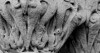 Detalle de capitel de Palamos 1930-1935.JPG