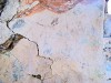 traces i taques.jpg