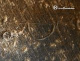 Datatio, Inscription, Romaesque, Spain.