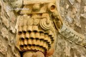 San Rom&aacute;n de Escalante. La arribada. San Rom&aacute;n de Escalante. La arribada