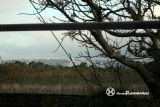 Nazare. San Giao. -7 Km al SW de Nazaré-