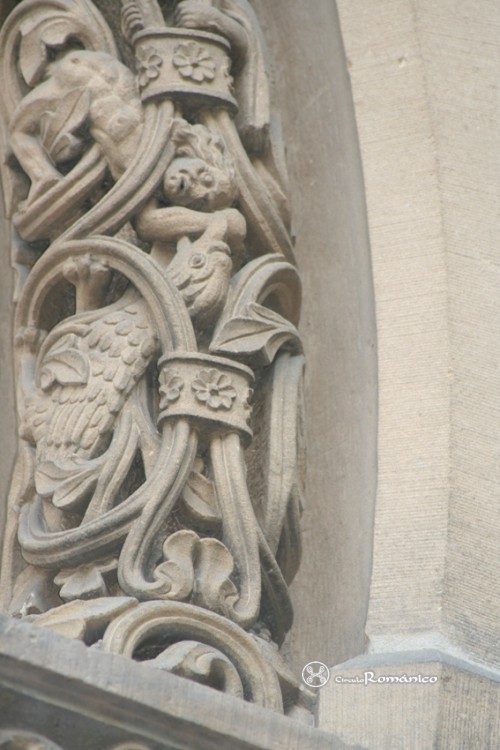 Colonia. Santa Cecilia. Ave atacando a un hombre