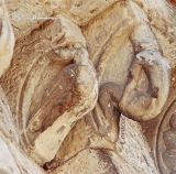 Villamayor.Santa Maria.Detalle de canecillos