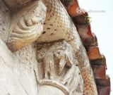 Villamayor.Santa Maria.Detalle de ave