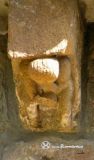Molledo.San Lorenzo.Canecillo figurado
