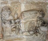 Beleña de Sorbe.San Miguel.Trabajo de la tierra con bueyes (agosto)