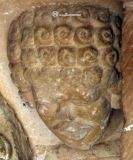 Beleña de Sorbe.