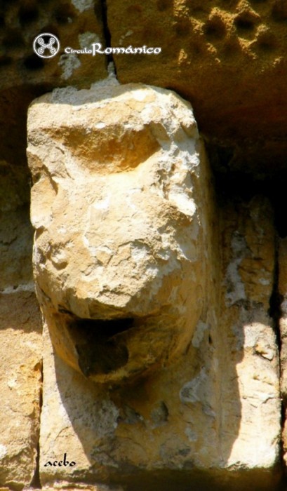 Barcena de Pienza. Nuestra Sra de la Asuncion.Canecillo zoomorfo