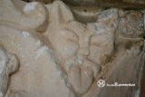 Colina de Losa. Expectacion de Nuestra Señora. Gato sacando la lengua