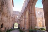 San Pedro de Arlanza (Hortigüela). San Pedro. Interior de la panda del claustro