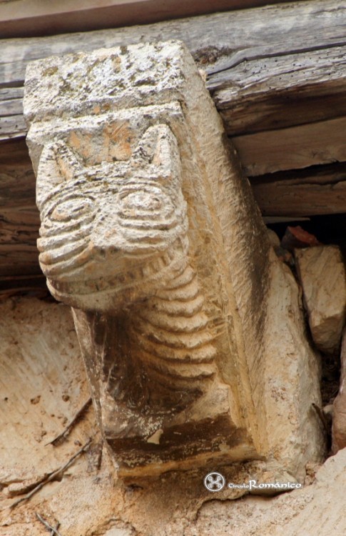 Valdenoceda. San Miguel Arcángel. Canecillo con gato
