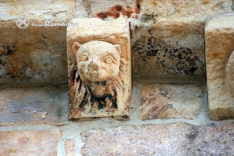 Salamanca. San Cristobal. Cabeza de leon