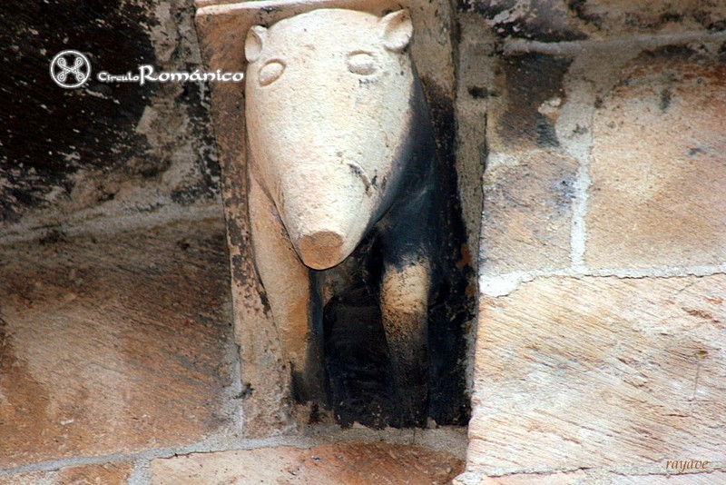 Salamanca. San Cristobal. Canecillo zoomorfo