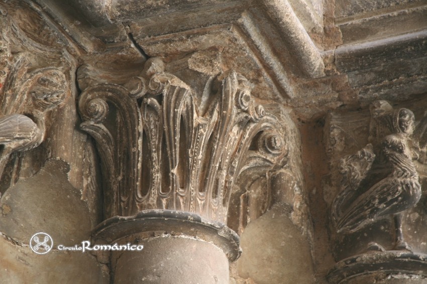 Salamanca. San Martín. Capitel vegetal
