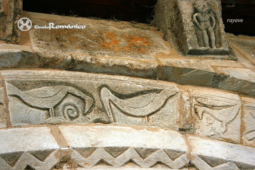 Torresmenudas. San Román Mártir. Aves picotenado 