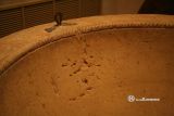 Aldealengua de Pedraza. Nuestra Sra de la Asuncion. Interior de la pila y detalle de sogueado