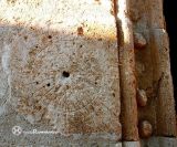 Aldealengua de Sta Maria. Nuestra Sra de la Asuncion. Circuferencia junto a la puerta