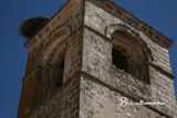 Cuesta, La. San Cristobal. Detalle del campanario