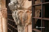 Fuentemizarra. Nuestra Señora del Ejido. Aves con doble cabeza