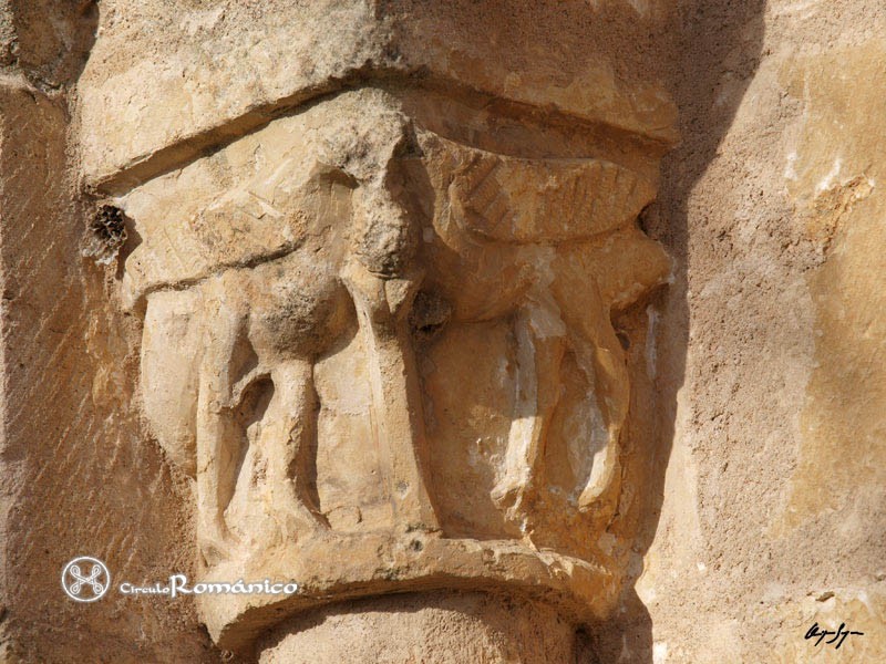 Valdesimonte. Nuestra Señora de la Asunción. Detalle de capitel con cuadrupedos