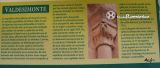 Valdesimonte. Nuestra Señora de la Asunción. Cartel