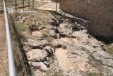 Casillas de Berlanga. San Baudelio. Tumbas antropomorfas