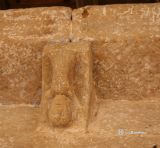 Omeñaca. Inmaculada Concepcion. Canecillo con acróbata