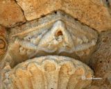 Wamba. Santa Maria (Va) Detalle de capitel con salamandras