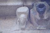 San Martín de Castañeda. Monasterio de San Martín. Detalle de canecillo figurado junto a desagüe