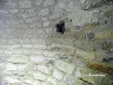 Sant Sadurni Rotger. Sant Sadurni. Detalle de opus spicatum