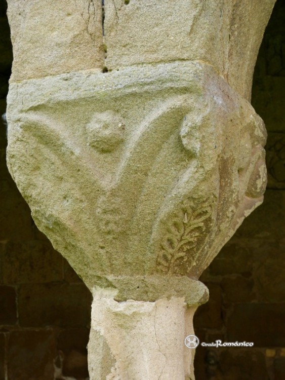 Gualter. Santa María. Capitel vegetal