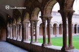 Les Avellanes. Santa María de Bellpuig. Claustro