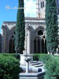 Vallbona de les Monges. Monasterio de Santa María. Fuente del claustro