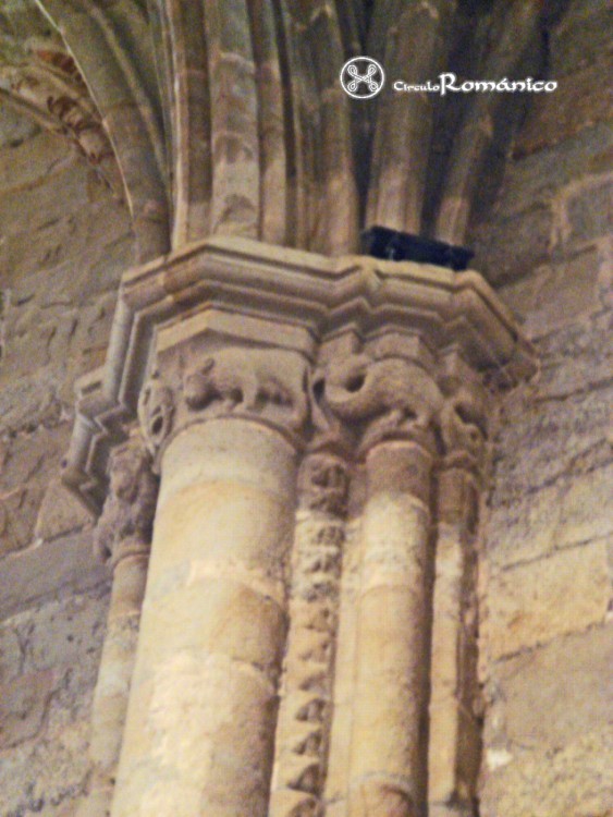 Plasencia. Catedral Vieja. Detalle de capitel con motivos zoomorfos