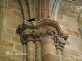 Plasencia. Catedral Vieja. Capiteles vegetales y zoomorfos