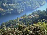 Cova. Cova. Ribeira Sacra