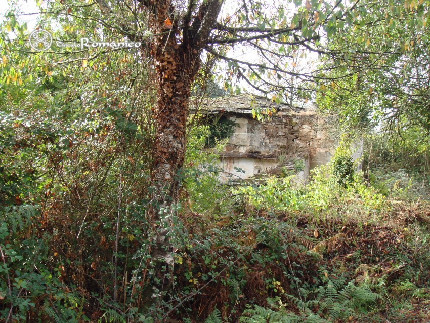 Escrita. Ribas de Miño (Loio) Ruinas