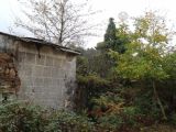 Escrita. Ribas de Miño (Loio) Ruinas