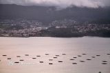 Mirador de Samieira, Ría de Pontevedra e Isla de Tambo