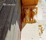 Aguilar de Codes. Ermita de San Bartolomé. Portico sur. Mocheta, cabras?