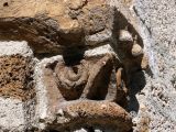 Sinsat. Saint Laurent. Detalle de cpaitel vegetal