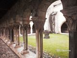 Saint Bertrand de Comminges. Sainte Marie. Capiteles vegetales de la panda sur